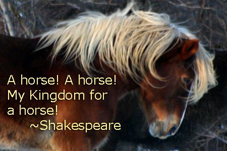 Misunderstood Shakespeare: “A horse! A horse! My kingdom for a horse!”